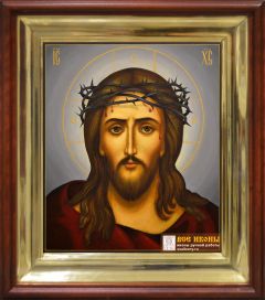 Рукописная икона Спас в терновом венце живопись (Размер 27*31 см)